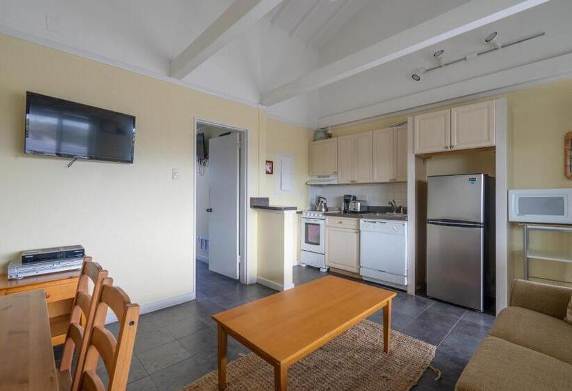 شقة غرفة واحدة, Driftwood Resort On The Ocean