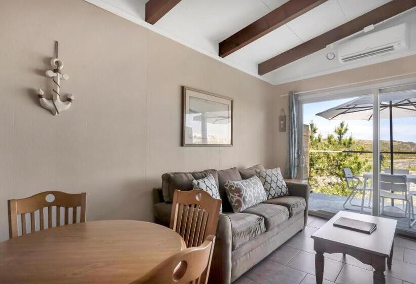 إستوديو قياسى, Driftwood Resort On The Ocean