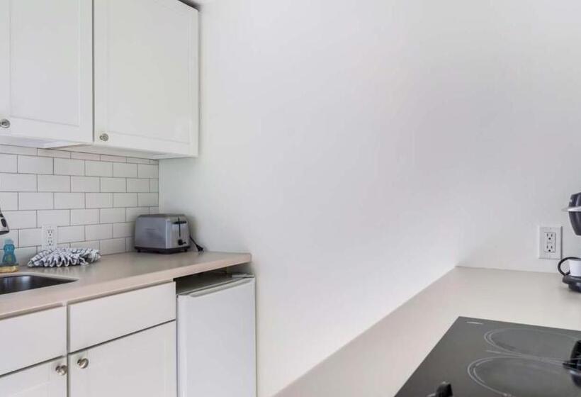 إستوديو قياسى, Driftwood Resort On The Ocean