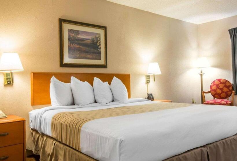 חדר סטנדרט עם מיטת קינג, Econo Lodge Inn & Suites At Fort Moore
