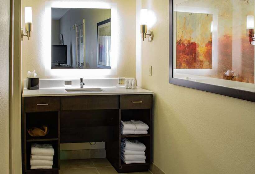 プレミアムルーム, Embassy Suites By Hilton Columbia Greystone