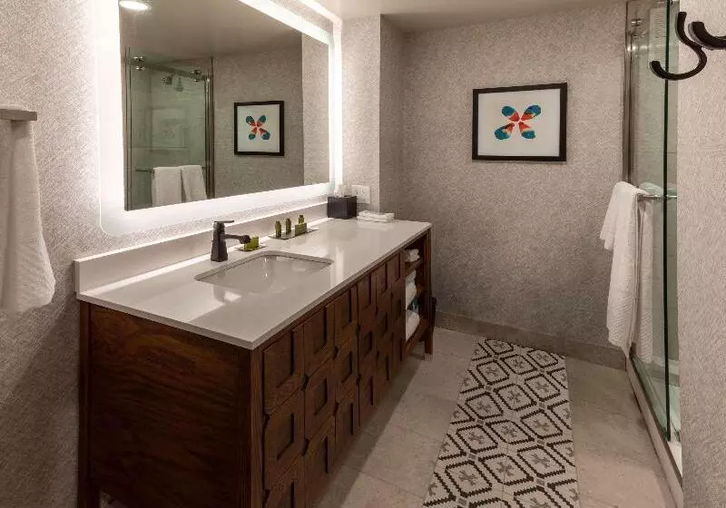 اتاق استاندارد با تخت بزرگ, Estancia Del Norte San Antonio,tapestry Collection By Hilton