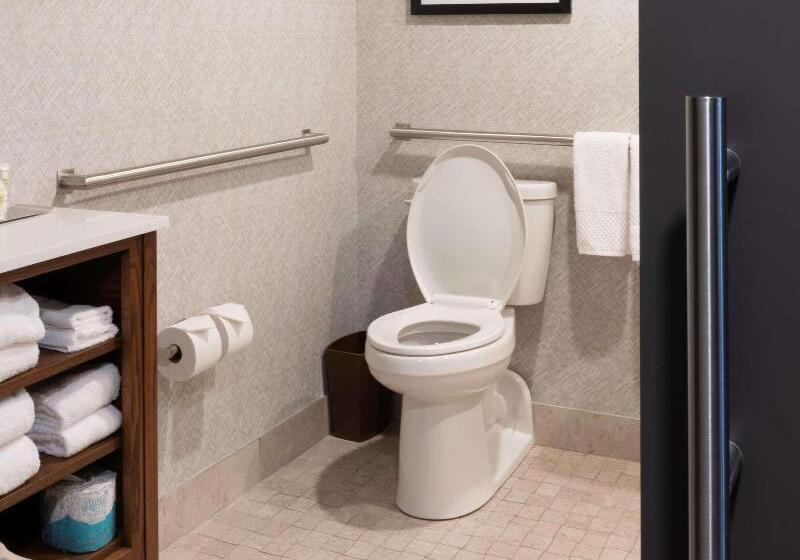 חדר סטנדרט, מיטת קינג, מותאם לאדם עם מוגבלויות, Estancia Del Norte San Antonio,tapestry Collection By Hilton