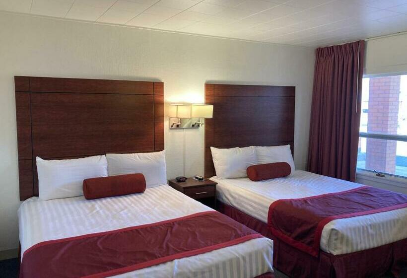 Quarto Estandar, Hills Inn