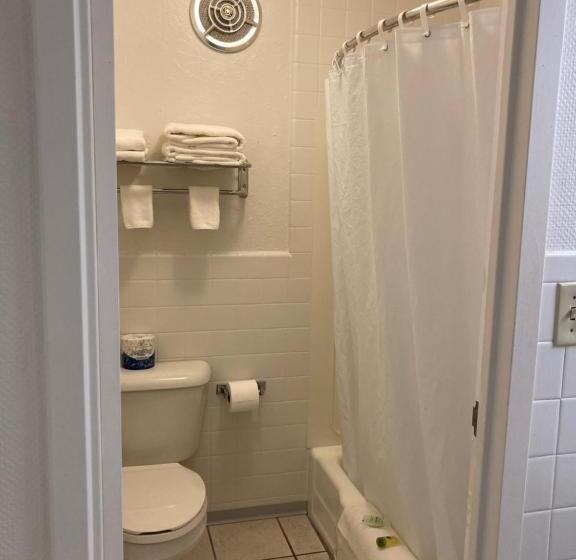 غرفة قياسية سرير كينج, Hills Inn