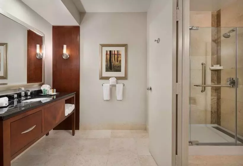 اتاق استاندارد با 2 تخت دوبل, Hilton Houston Post Oak By The Galleria