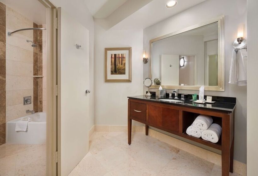 اتاق استاندارد با 2 تخت دوبل, Hilton Houston Post Oak By The Galleria