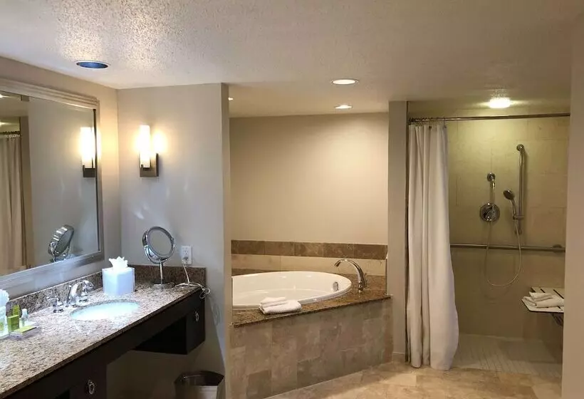 سوئیت ریاست جمهوری 2 خوابه, Hilton Houston Post Oak By The Galleria