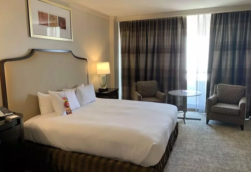 سوئیت ریاست جمهوری 2 خوابه, Hilton Houston Post Oak By The Galleria