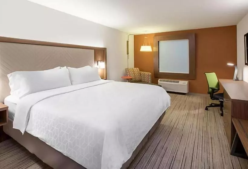 身障者適用キングサイズベッドルーム, Holiday Inn Express Minneapolis West Plymouth, An Ihg