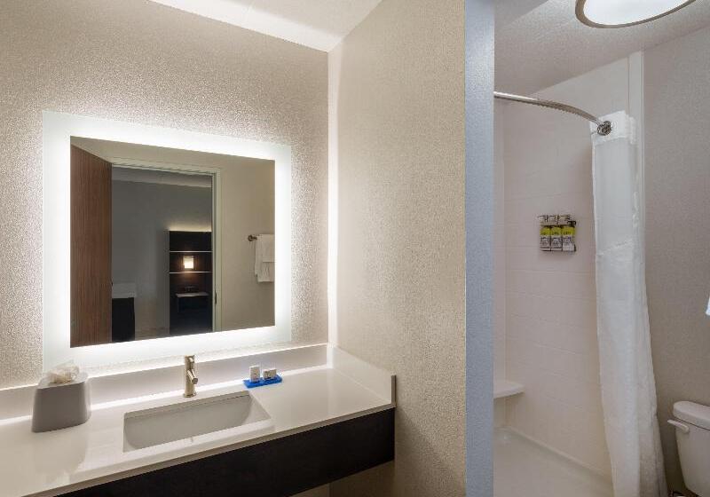 غرفة قياسية سرير كينج, Holiday Inn Express   Minneapolis West   Plymouth, An Ihg