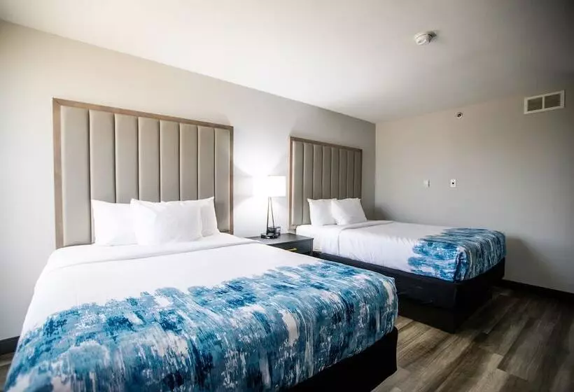 スイート, La Quinta By Wyndham Dallas I 35 Walnut Hill Ln