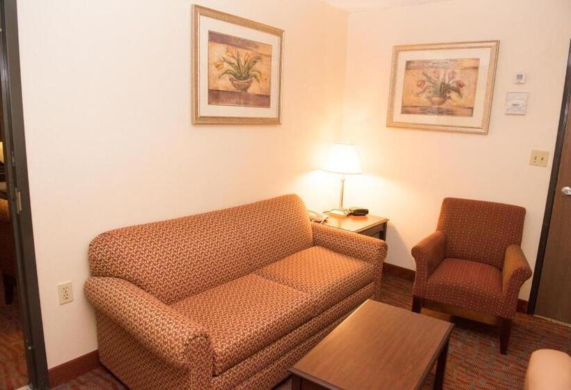 스탠다드 룸 킹사이즈 침대, Mho Inn And Suites