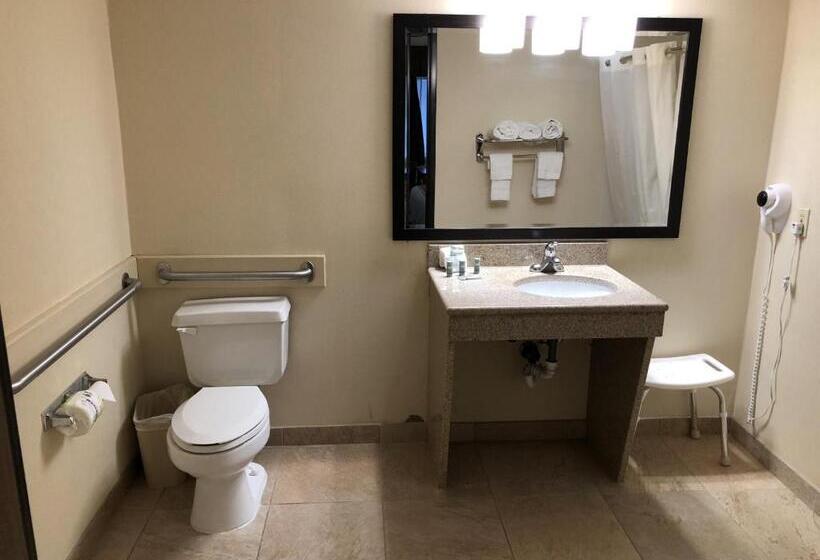 身障者適用キングサイズベッドルーム, Mho Inn And Suites