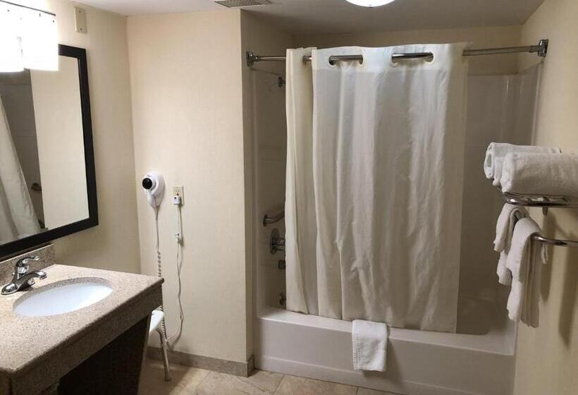 장애인을 위한 킹사이즈 침대 스탠다드 룸, Mho Inn And Suites
