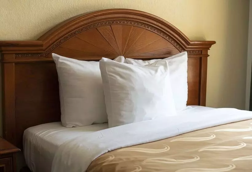 ２ダブルベッドのスタンダードルーム, Quality Inn & Suites Biltmore East