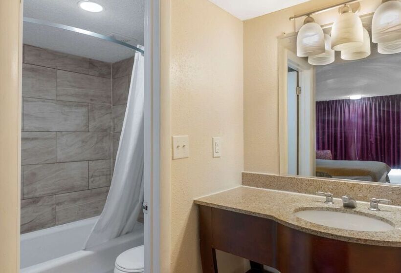 套房, Rodeway Inn Colonial Heights I95