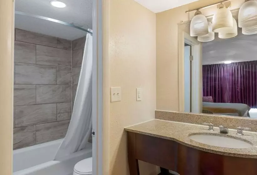 スイート, Rodeway Inn Colonial Heights I95