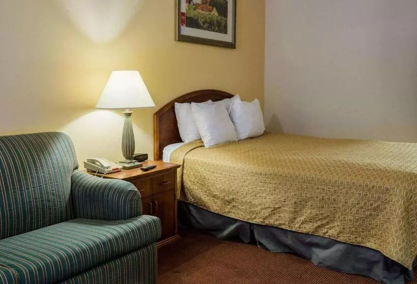 キングサイズベッドのスタンダードルーム, Rodeway Inn Colonial Heights I95