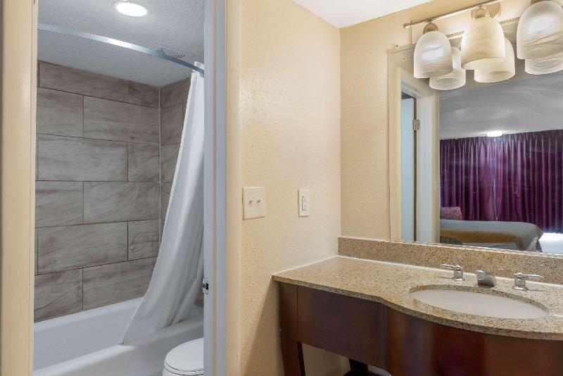 스탠다드 룸 킹사이즈 침대, Rodeway Inn Colonial Heights I95