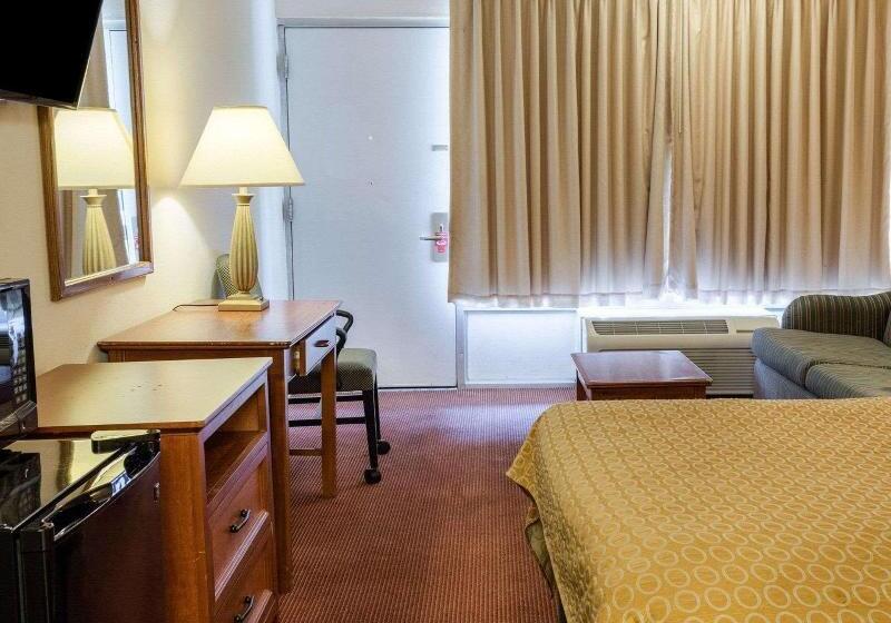 스탠다드 룸 킹사이즈 침대, Rodeway Inn Colonial Heights I95