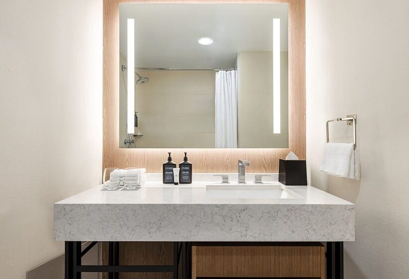 Люкс, Sheraton Suites Chicago O'hare