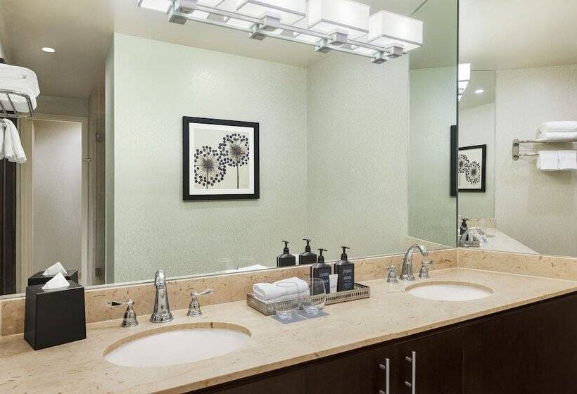 Люкс Клуб, Sheraton Suites Chicago O'hare