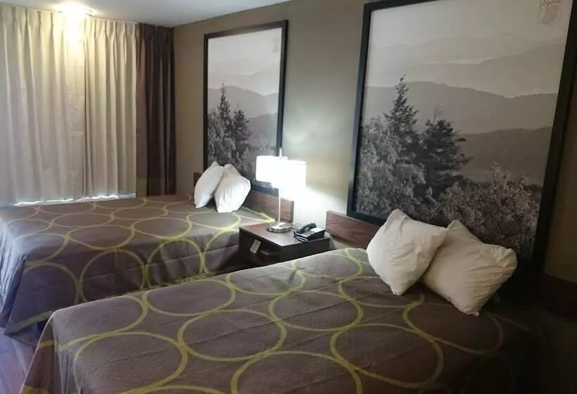 اتاق استاندارد با 2 تخت دوبل, Super 8 By Wyndham Asheville Airport