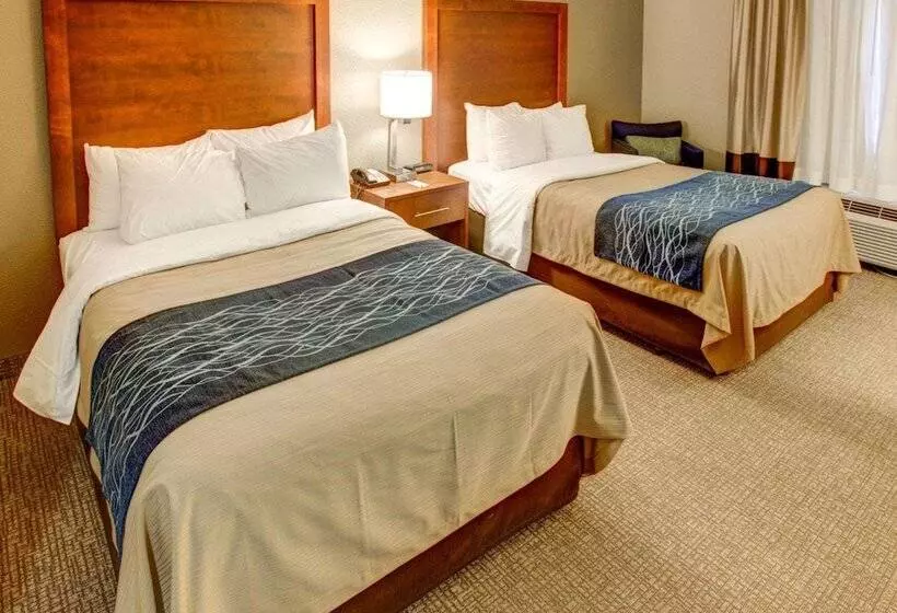 ２ダブルベッドのスタンダードルーム, Comfort Inn Conference Center