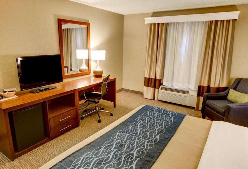 스탠다드 룸 킹사이즈 침대, Comfort Inn Conference Center