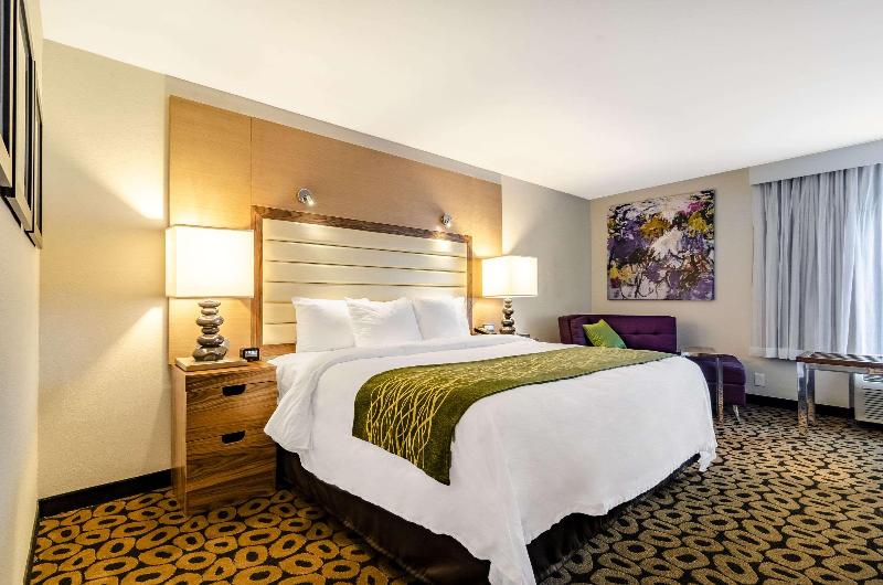 اتاق استاندارد, Comfort Inn Raleigh Midtown