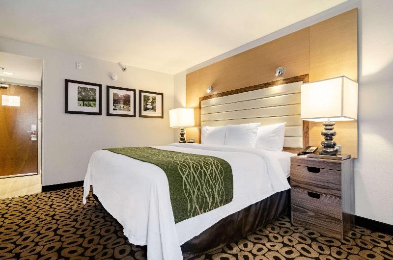 اتاق استاندارد, Comfort Inn Raleigh Midtown