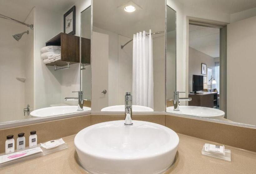 جناح ديلوكس سرير كينج, Country Inn & Suites By Radisson, La Crosse, Wi