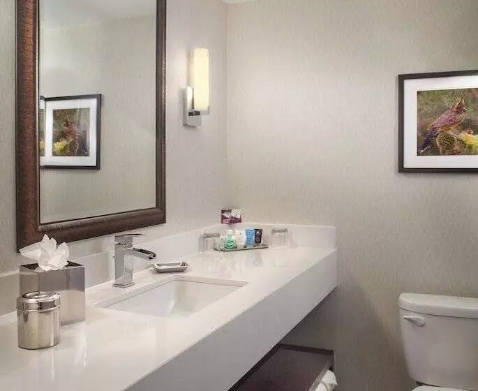 スタンダードルーム, Crowne Plaza Phoenix Airport   Phx, An Ihg