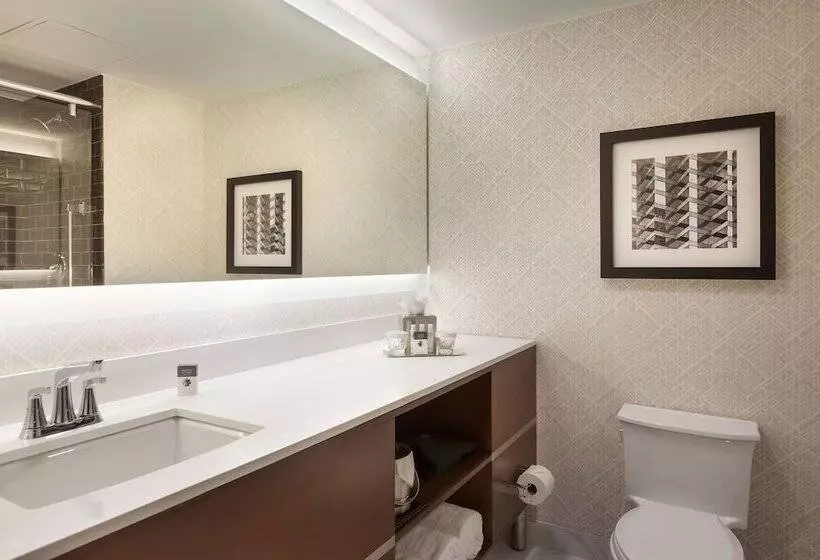 スイート, Doubletree By Hilton Hotel & Suites Houston By The Galleria
