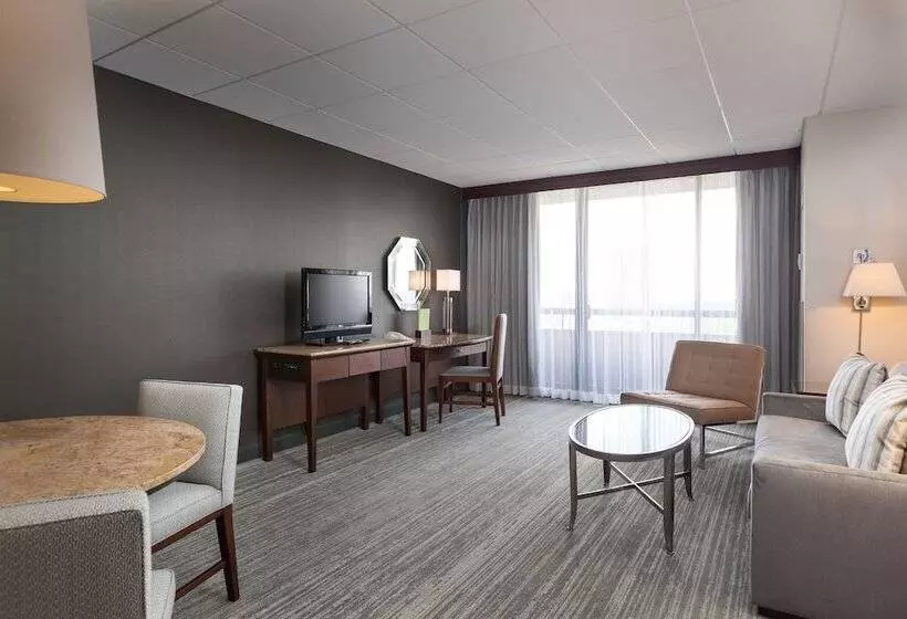 スイート, Doubletree By Hilton Hotel & Suites Houston By The Galleria
