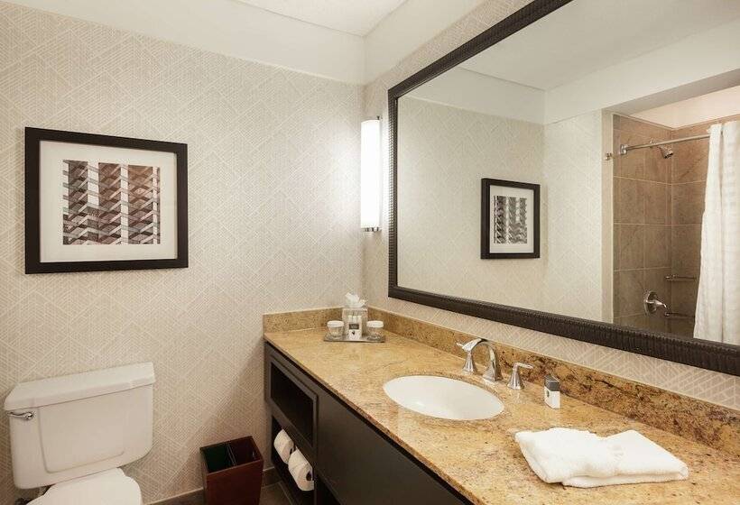 Люкс, Doubletree By Hilton Hotel & Suites Houston By The Galleria