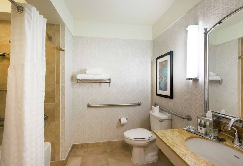 جناح لذوى الاحتياجات الخاصة, Doubletree By Hilton Hotel & Suites Houston By The Galleria