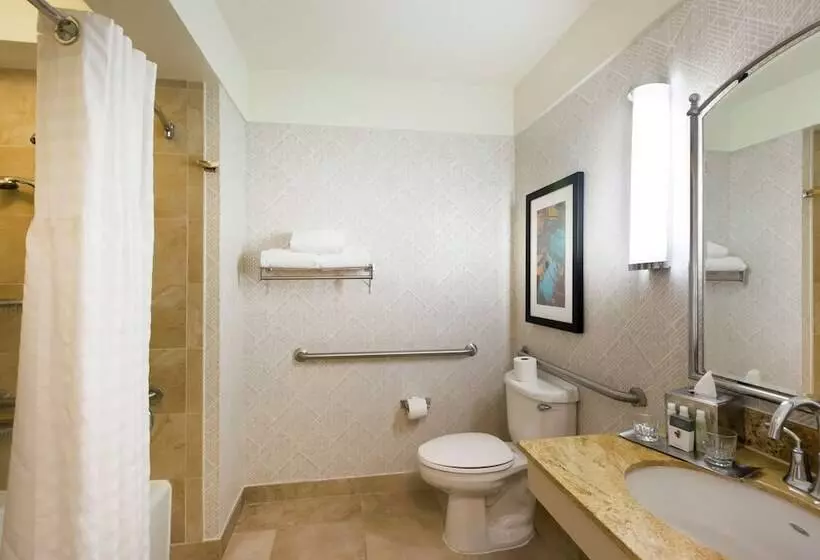 身障者適用スイートルーム, Doubletree By Hilton Hotel & Suites Houston By The Galleria
