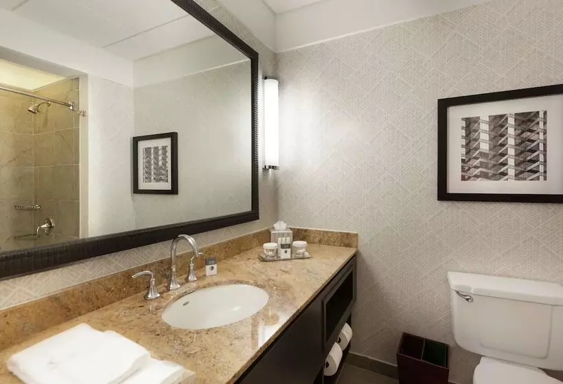 ダブルベッドスタンダードルーム, Doubletree By Hilton Hotel & Suites Houston By The Galleria