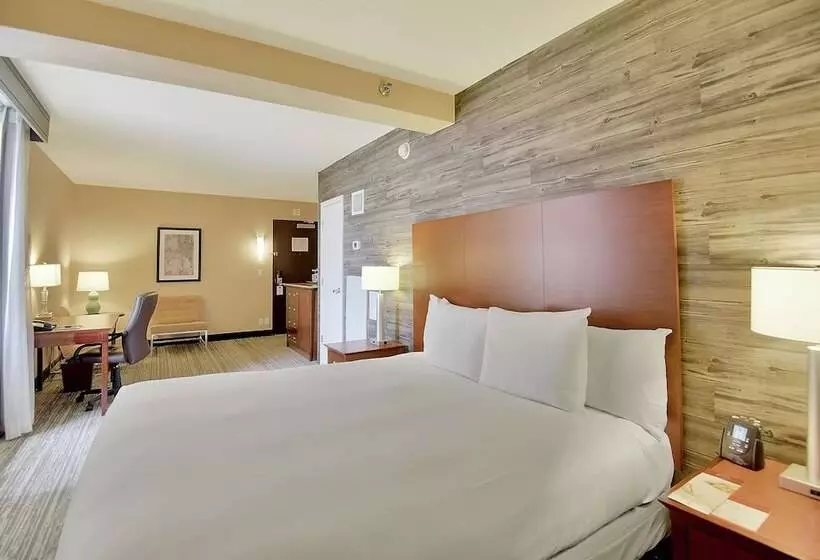 ダブルベッドスタンダードルーム, Doubletree By Hilton Hotel & Suites Houston By The Galleria