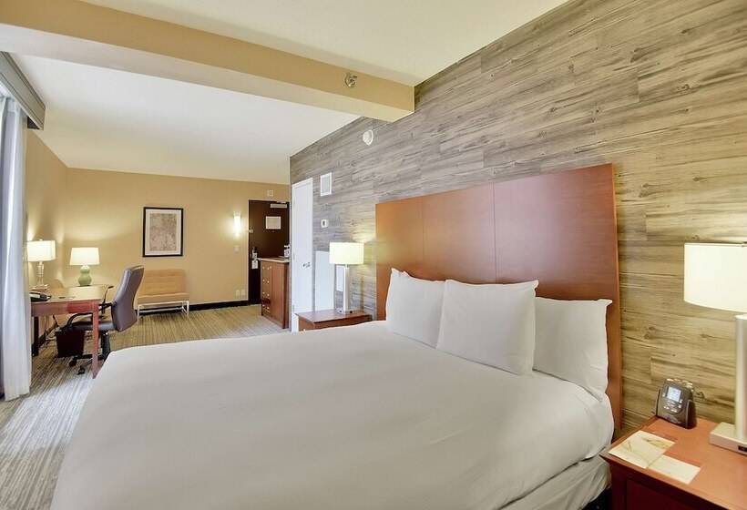 غرفة قياسية لذوى الاحتياجات الخاصة, Doubletree By Hilton Hotel & Suites Houston By The Galleria