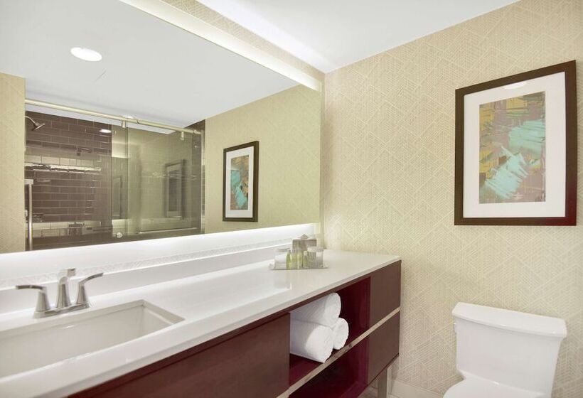Номер Стандарт Двуспальная Кровать, Doubletree By Hilton Hotel & Suites Houston By The Galleria