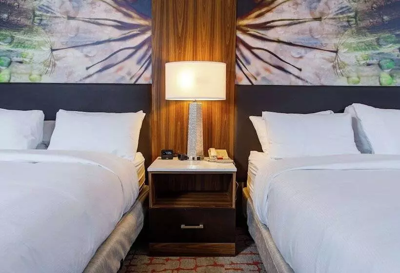 ２ダブルベッドのスタンダードルーム, Doubletree By Hilton Appleton