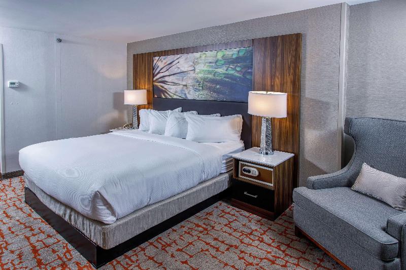 스탠다드 룸 킹사이즈 침대, Doubletree By Hilton Appleton