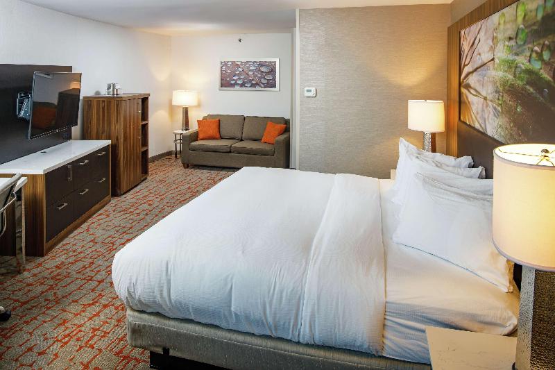 주니어 스위트 킹사이즈 침대, Doubletree By Hilton Appleton