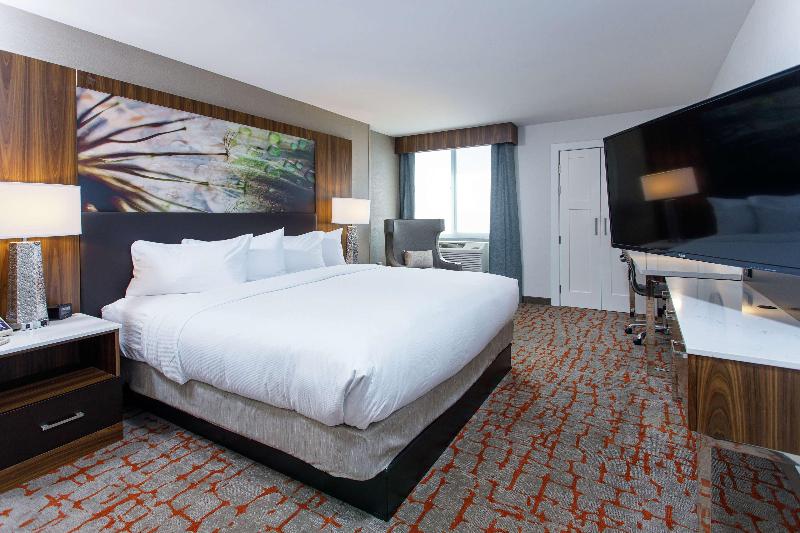 Cameră Standard Pat King Size, Doubletree By Hilton Appleton