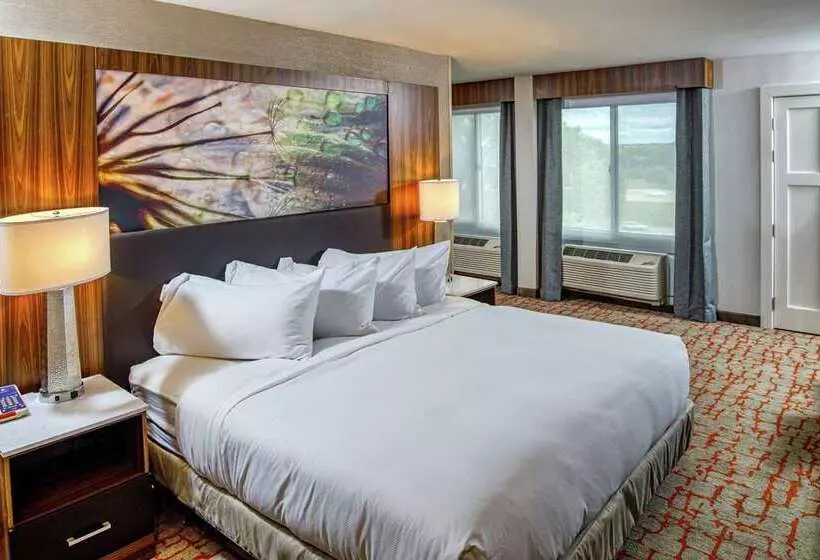 スイート（家族用）, Doubletree By Hilton Appleton