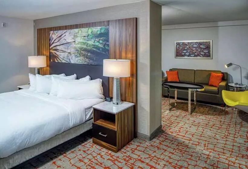 スイート（家族用）, Doubletree By Hilton Appleton