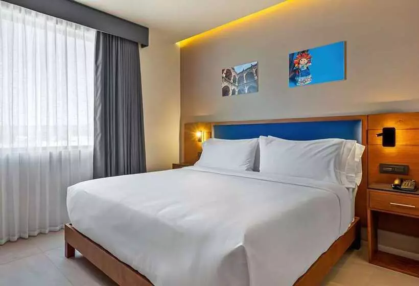 اتاق استاندارد با تخت بزرگ, Doubletree By Hilton Appleton